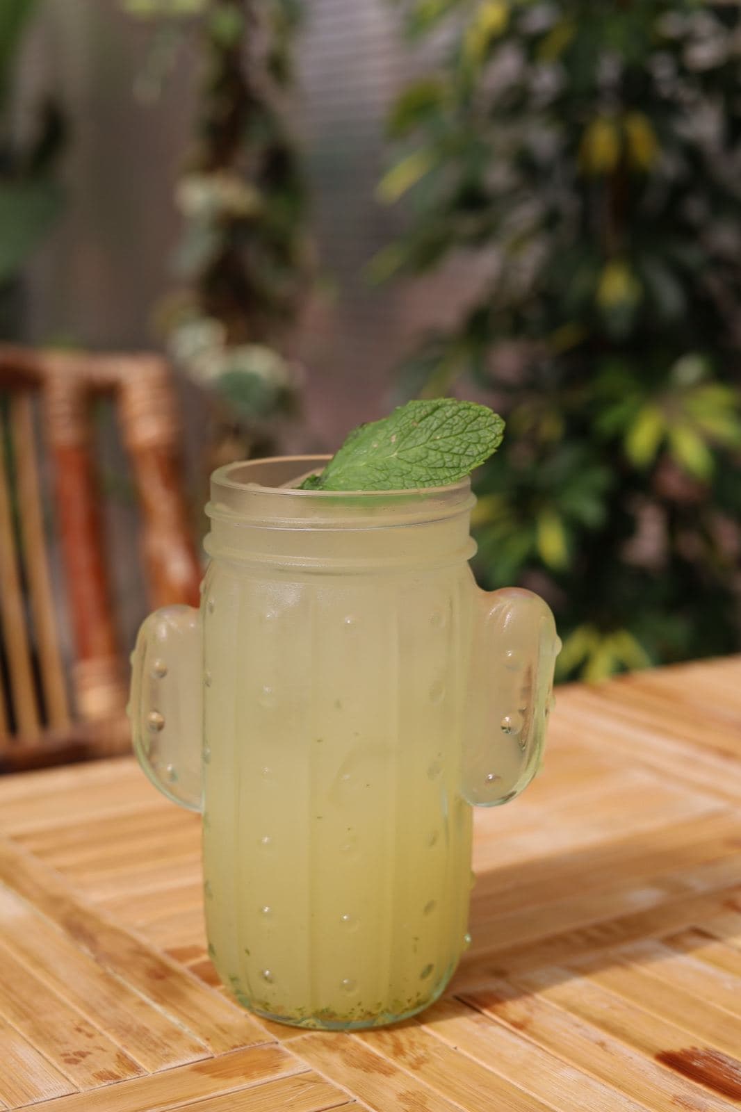 Limonada & hortelã
